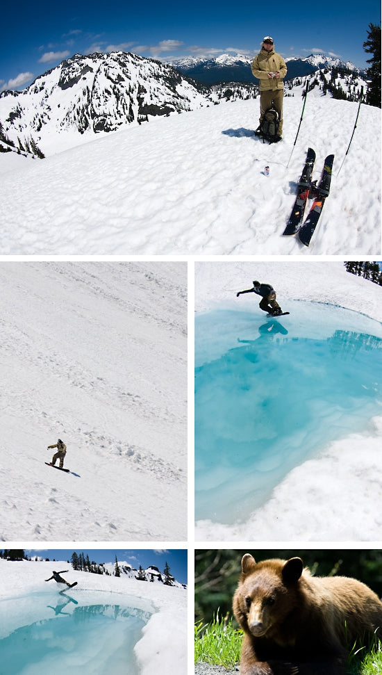 Feeding the Addiction