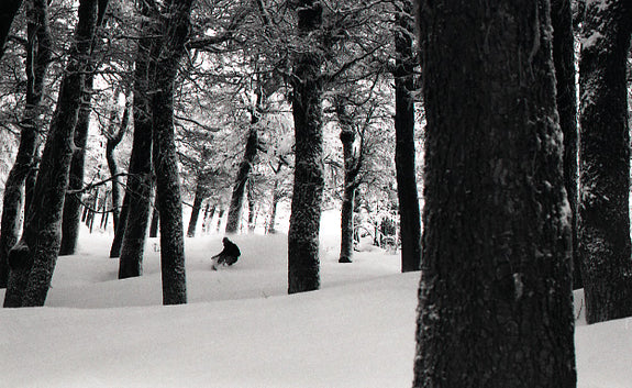 Argentina: Online Extra