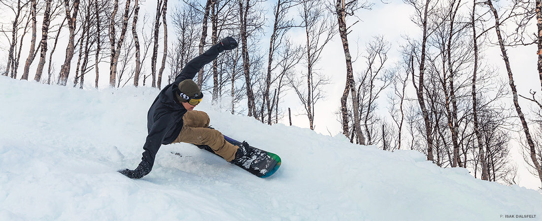 Northern Norway's Blueberry Banks