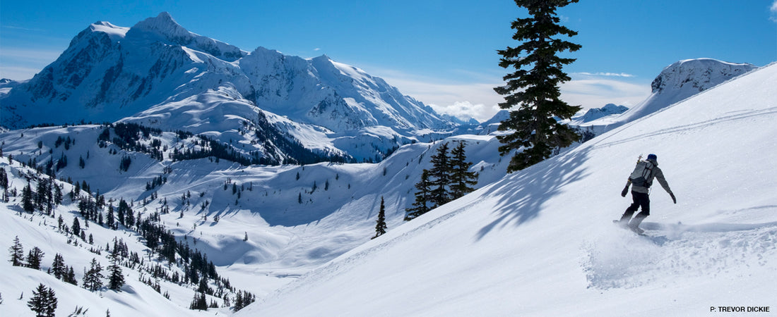 Mt. Baker Splitfest 2018