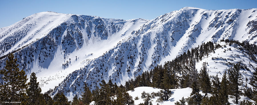 San Gorgonio