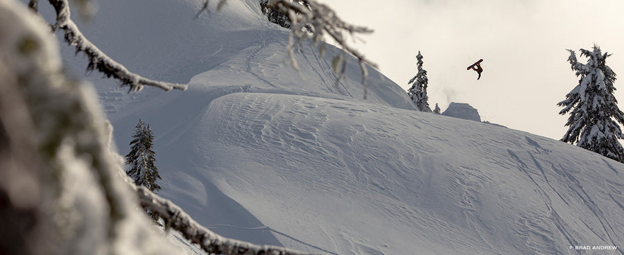 Mt. Baker 2019-2020  Season Recap