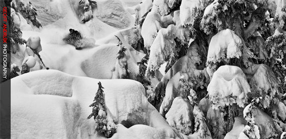 Geoff Andriuk Photography: New Site, New Imagery