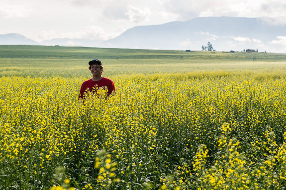 In The Groove: Jason Robinson on Absinthe Films, Dopamine and Simple Living