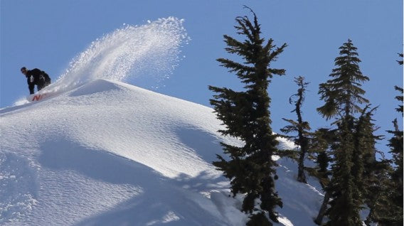 Livin: Now Available For Download