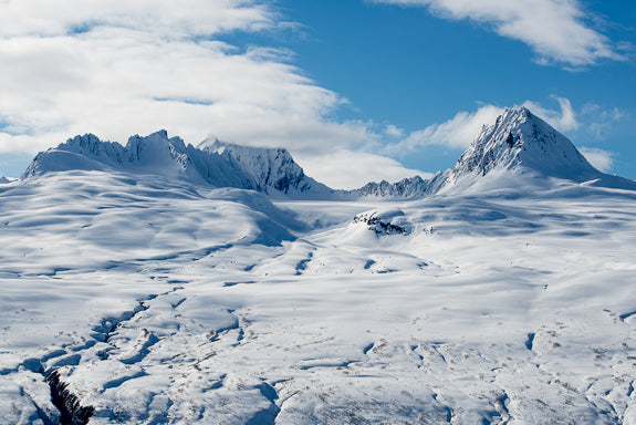Freqin AK: Desk Dudes Gone Wild at H2O Guides