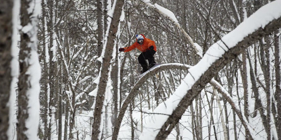 Over The Trees And Through The Woods: Elias Elhardt Full Part From "Perceptions"