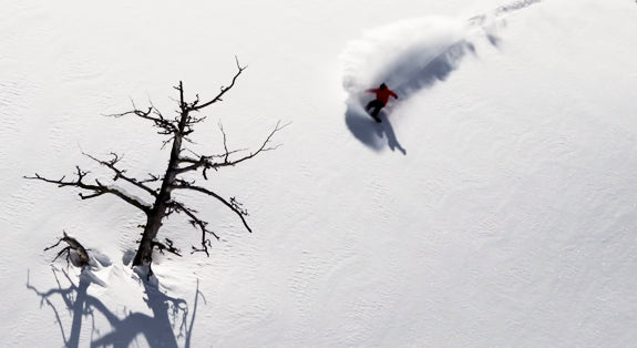 The Cowboy Shredder: "Carter Country - A Leatherman Original"