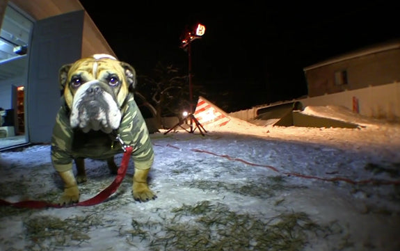 Playing In The Yard: "Still Out Back" Full Movie