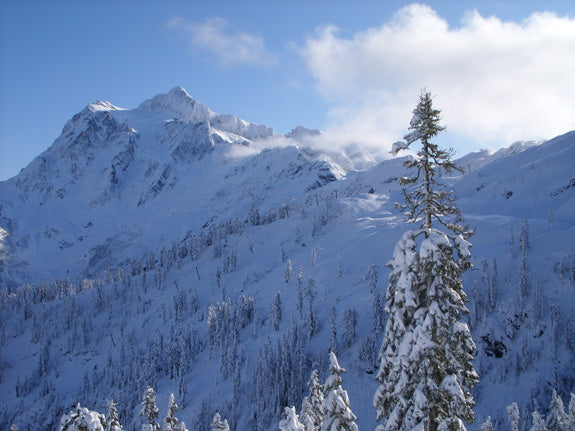 Mount Baker Opens with Deep Snow