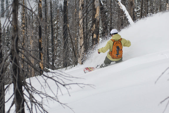 Baldface Gets it Good for Snowvember