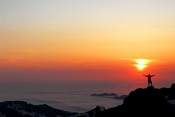 Blood, Sweat and Fears: 7 days in the Heart of the Olympics