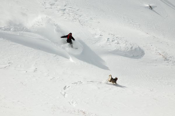 Early Season In The San Juans