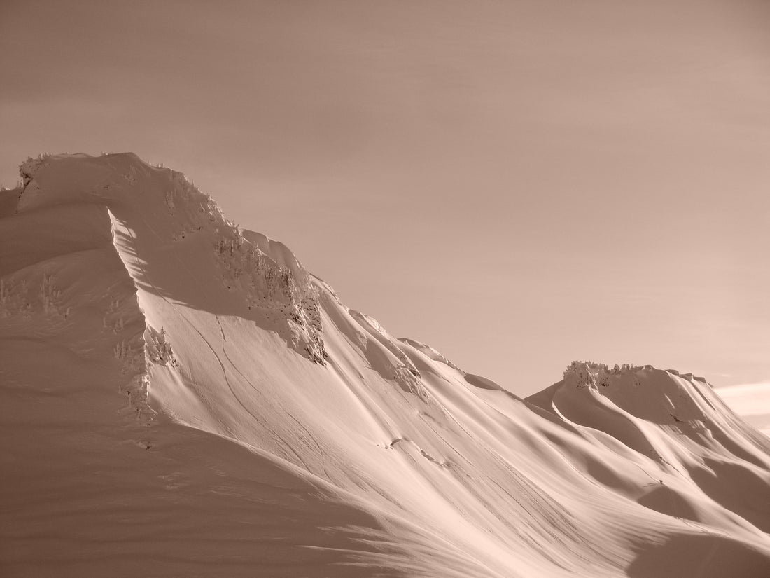 January one split slash session