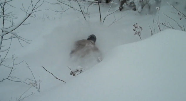 Vermont PowderJet Edit
