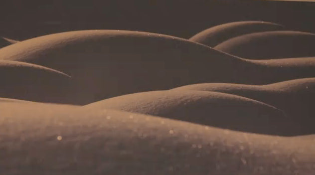 Tsutomu Endo "Organic 'Love' Blend" Photo Exhibition Video Recap