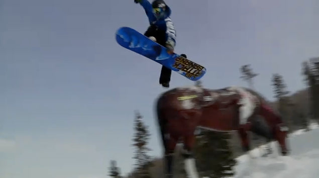 Wild Card at Winter Park