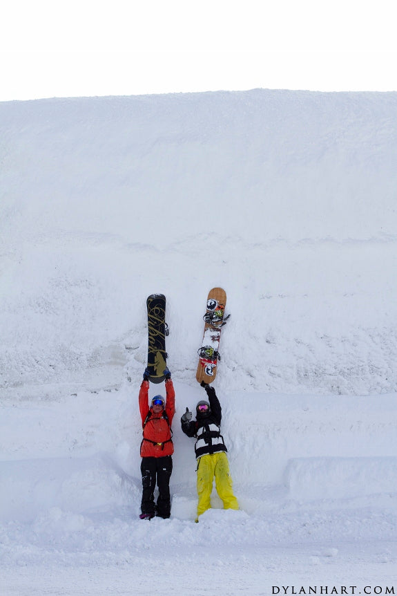 Miracle March in the Land of Greybird