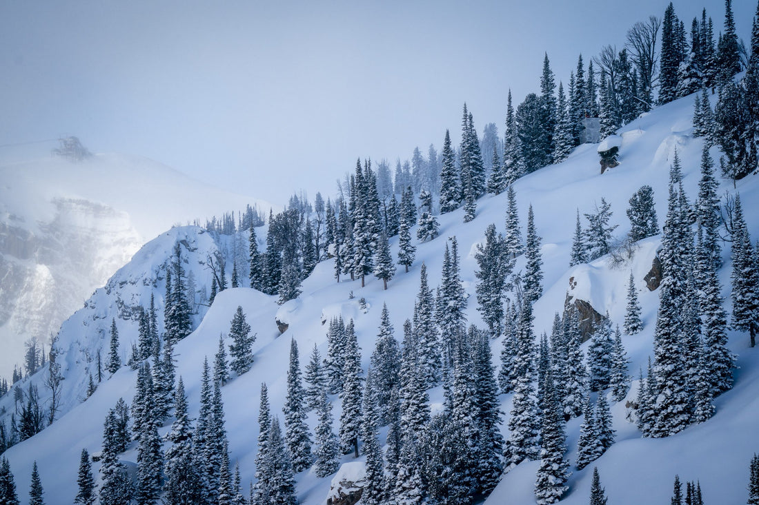 More Like A Gathering: Natural Selection Part 1