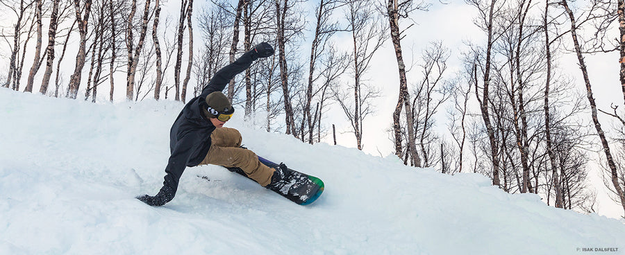 Northern Norway's Blueberry Banks