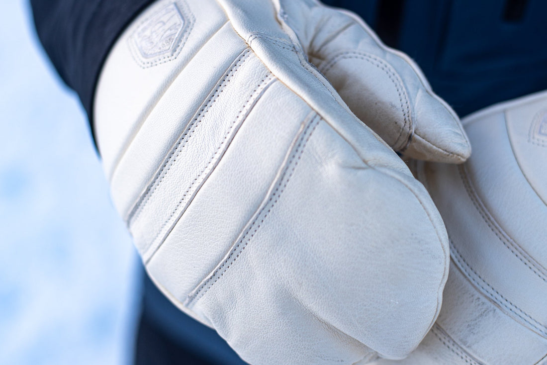 Review: Hestra Fall Line Mitt