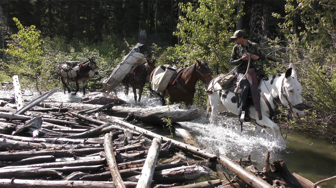 b.rad.404 (Brad Robinson), with his beasts of burden, leads us to the promised land.