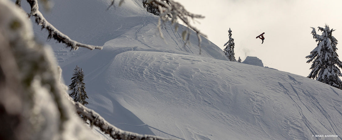 Mt. Baker 2019-2020  Season Recap