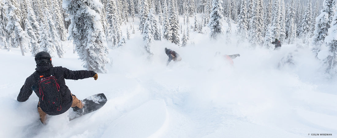 Then We Partied at Island Lake Lodge