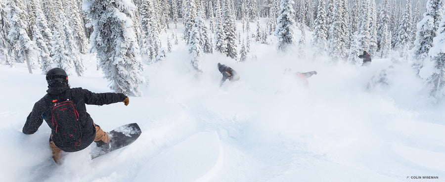 Then We Partied at Island Lake Lodge